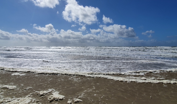 <p>Skuumkoppe op het water.</p>