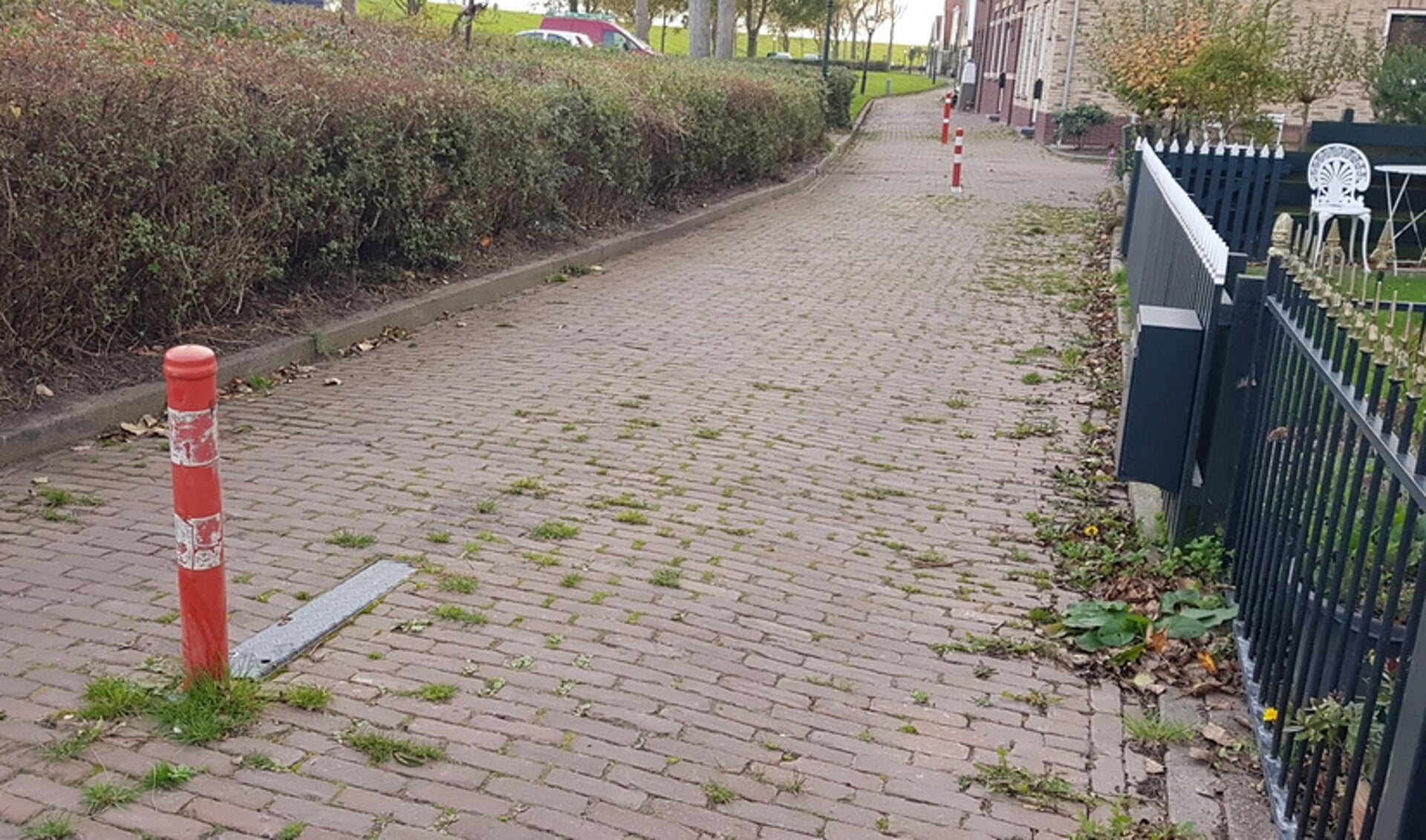 Fietsersbond Texel voert actie tegen paatjes op fietspaden zoals hier in de Ruyterstraat. 