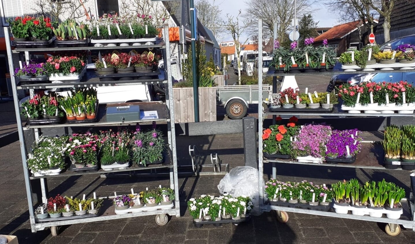 Tuincentrum van der Werve heeft een mooi assortiment tuinplanten voor vandaag ingekocht.