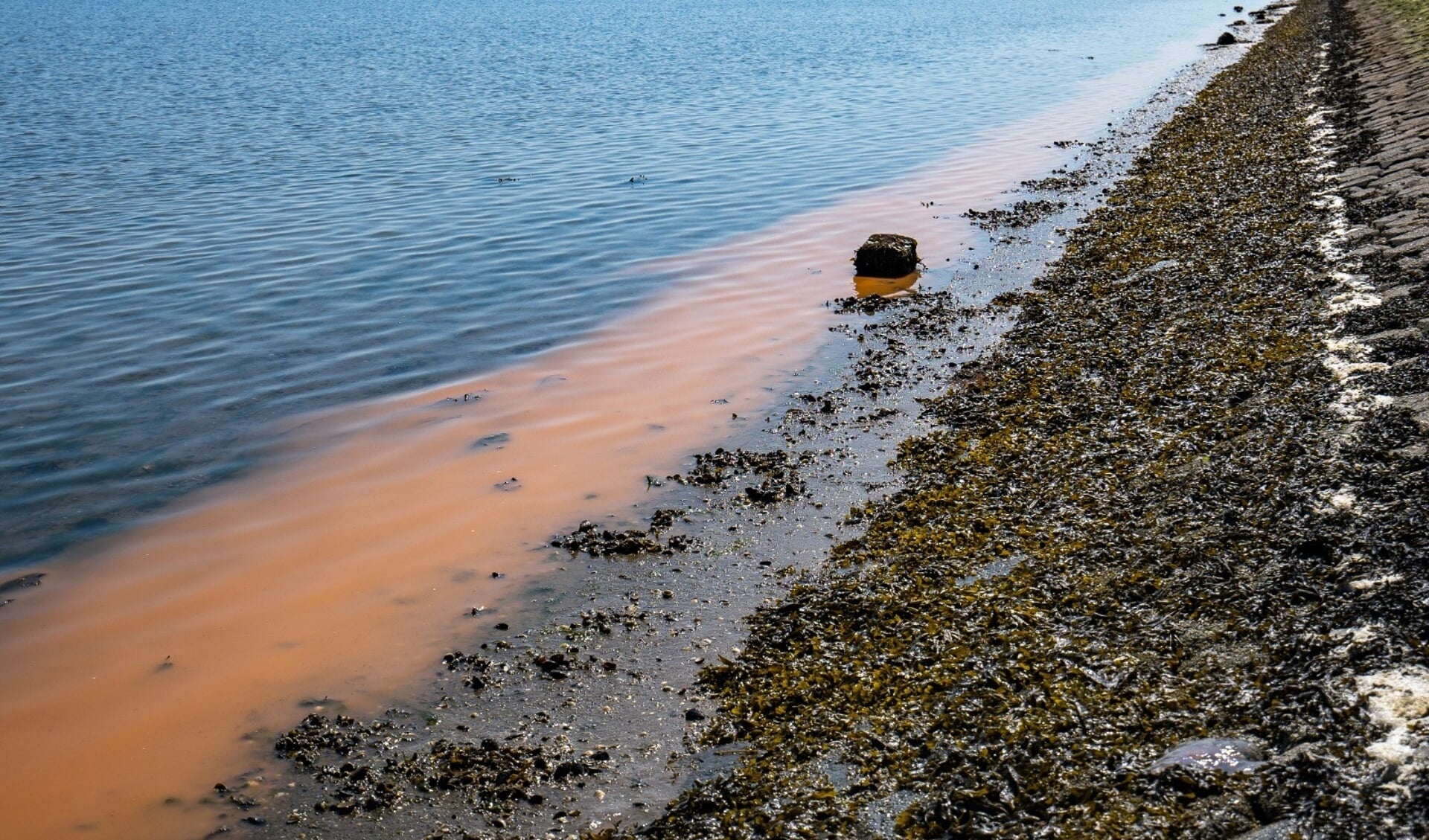 De merkwaardige oranje strook wordt veroorzaakt door zeevonk