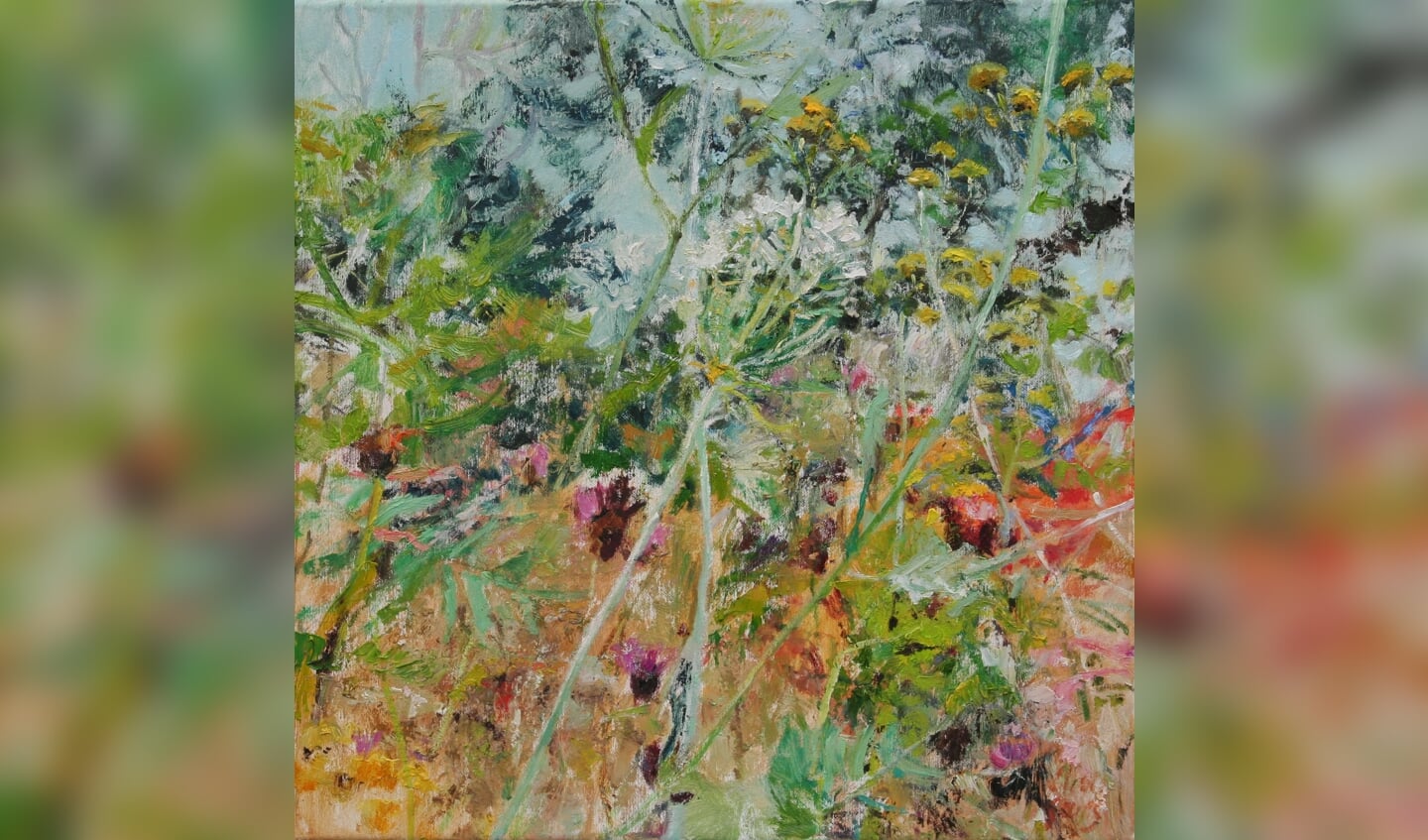 Ellen Geerts: Bloemrijk grasland (olieverf op doek in Galerie Posthuys