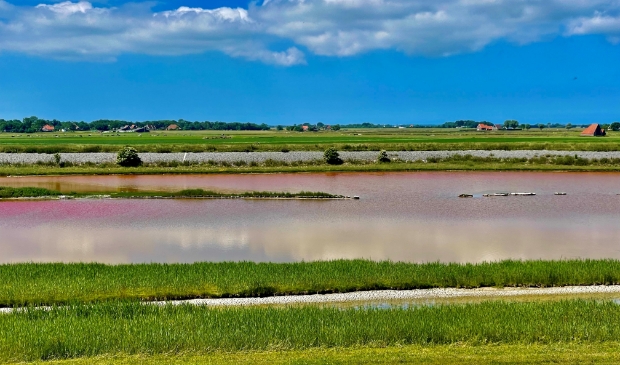 Het water in het Wagejot is opnieuw roze en paars aan het kleuren.