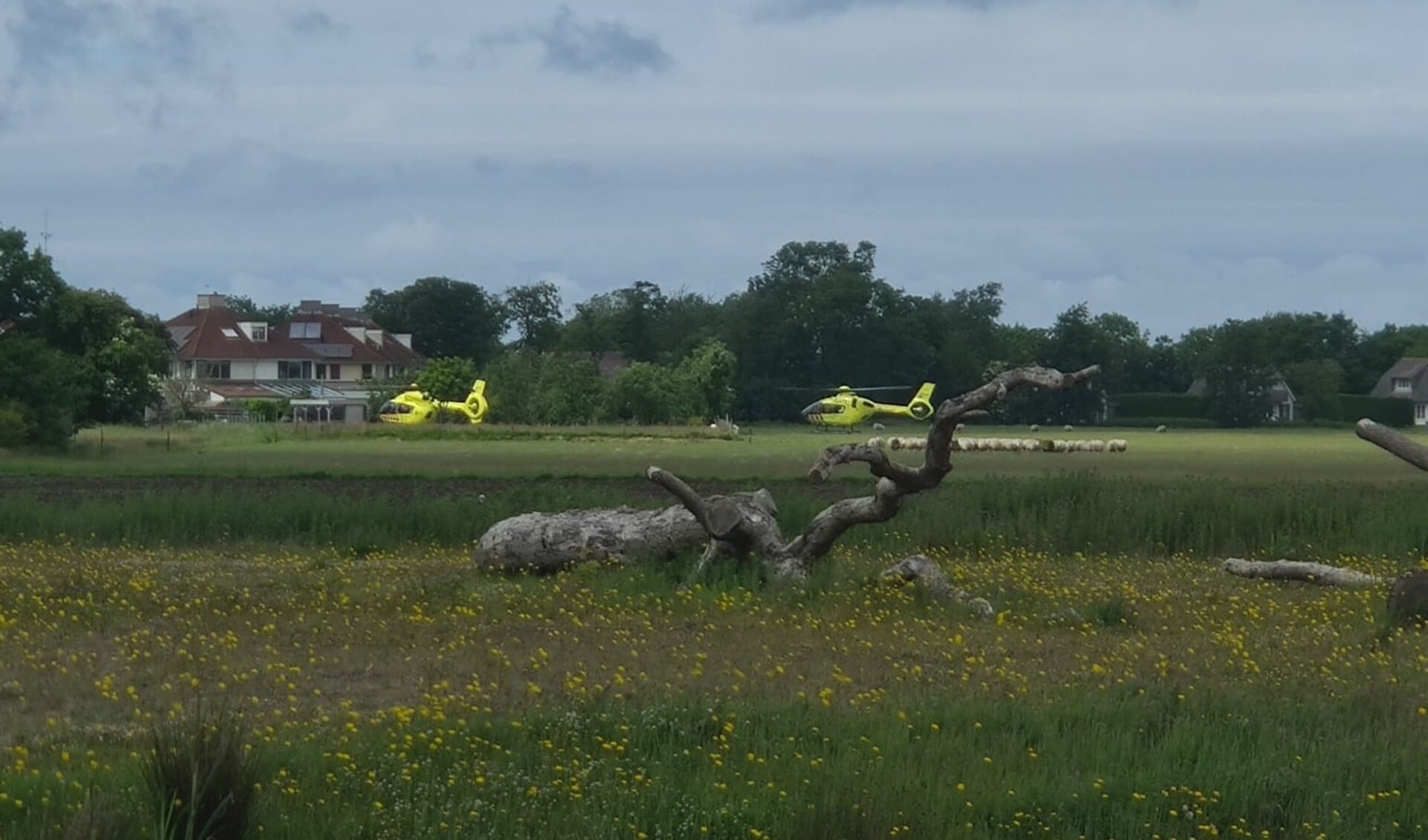 De traumahelikopter en de ambulancehelikopter aan de rand van De Mars in Den Burg.