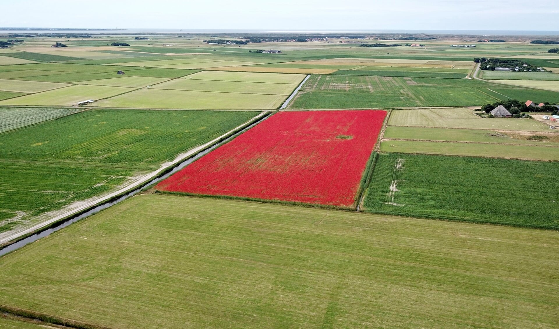 Het imponerende rode veld vol klaprozen aan Driehuizen trekt veel bekijks. Nu eens te zien vanuit de lucht.