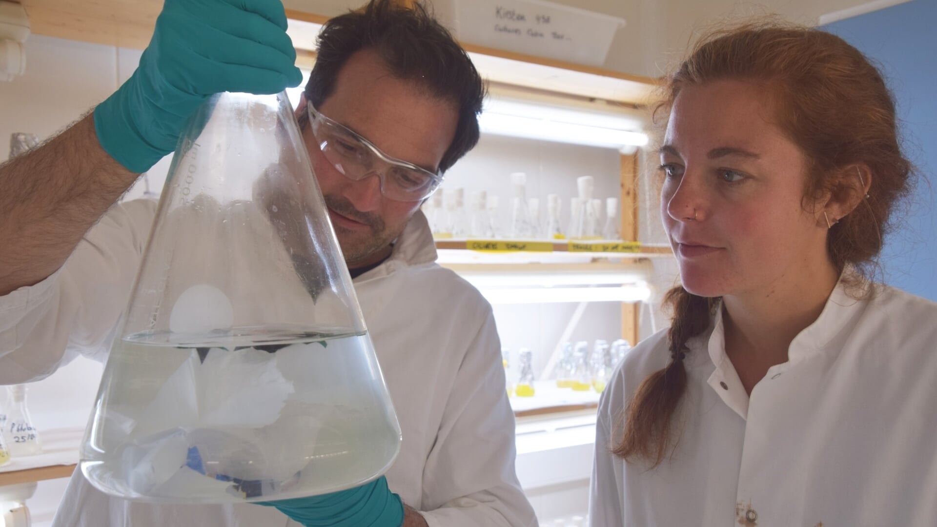 Maaike Goudriaan samen met Helge Niemann, research leader bij het NIOZ aan het werk in het lab.