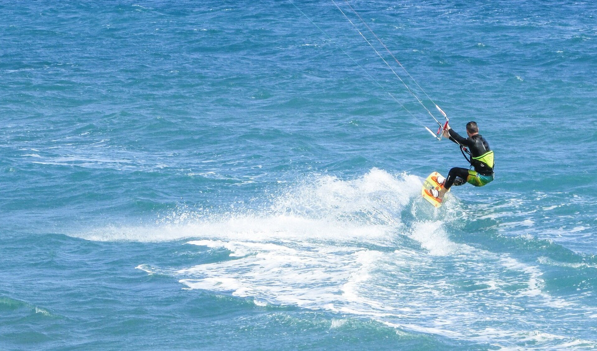Veel vogels zien de kites van surfers als een bedreiging