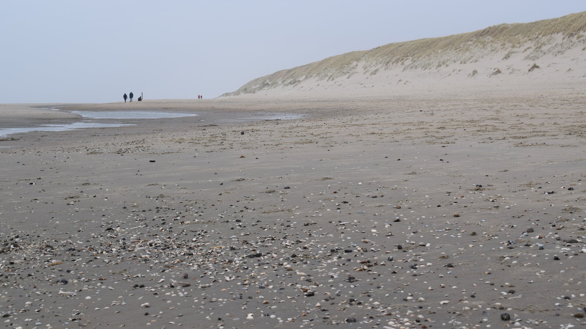 Het strand bij Paal 9, gezien in de richting van Paal 12