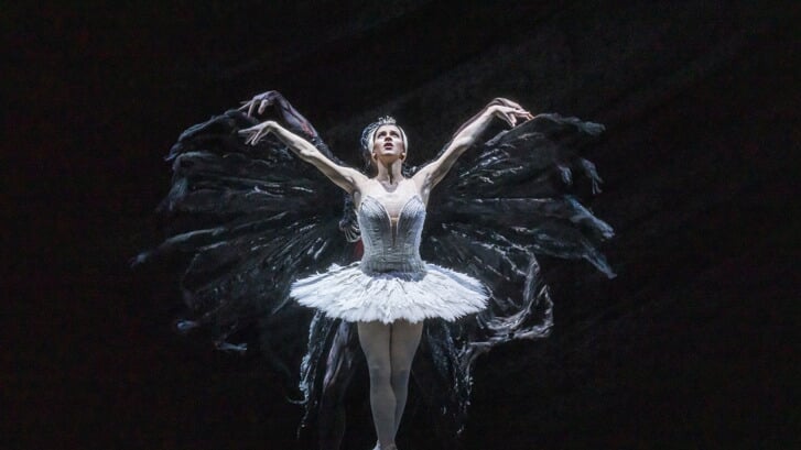 In de Royal Opera House voorstelling zondag deze keer klassiek ballet met Het Zwanenmeer.