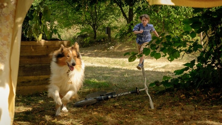 Lassie beleeft een nieuw avontuur met haar baasje Flo op de boerderij.