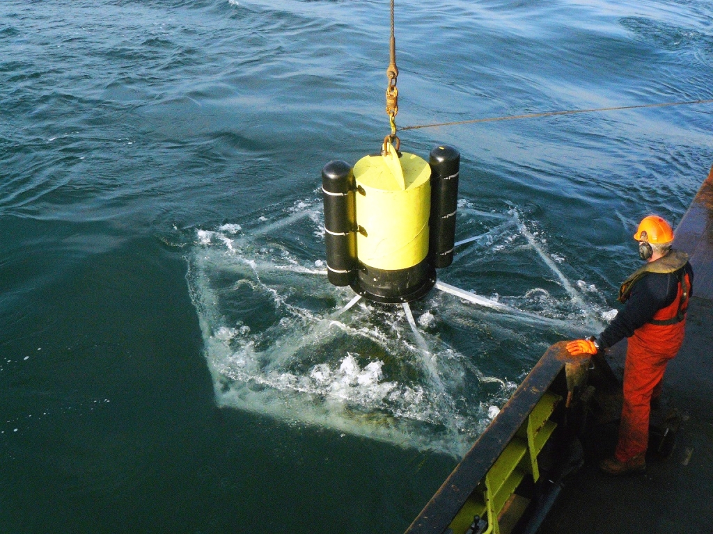Een van de testmodules voor de teelt van zeewier gaat te water in de Noordzee.