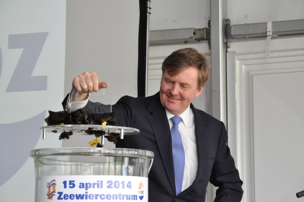 Koning Willem-Alexander in 2014 tijdens een bezoek aan het zeewiercentrum bij het NIOZ.
