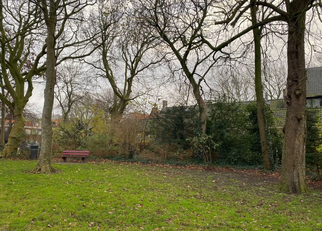 Het park in het centrum van Den Burg.