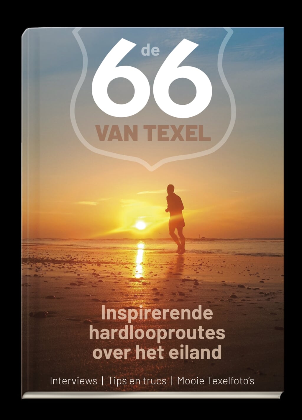Uitsnede van de omslag van "De 66 van Texel". 