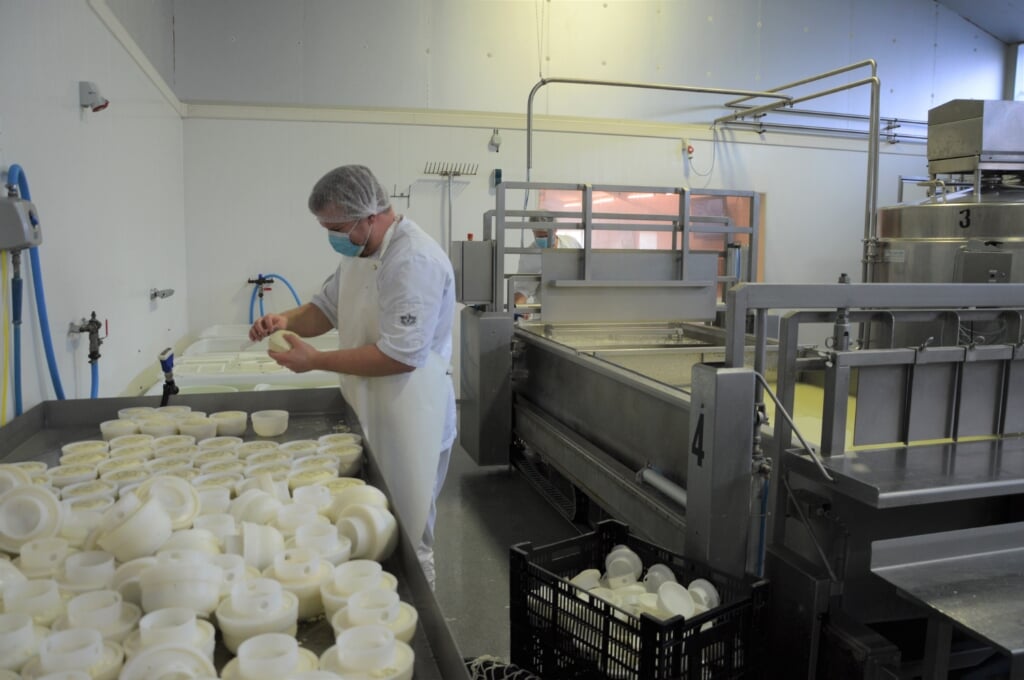 In de kaasmakerij de bereiding van schapenkaas Wezenpareltjes. 