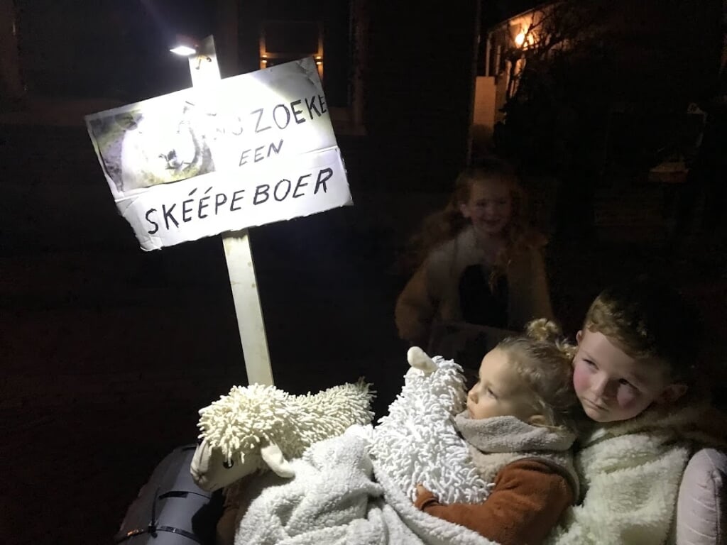 Den Hoorn: Jonge Stienenpikkers zoeken een skéépeboer. 