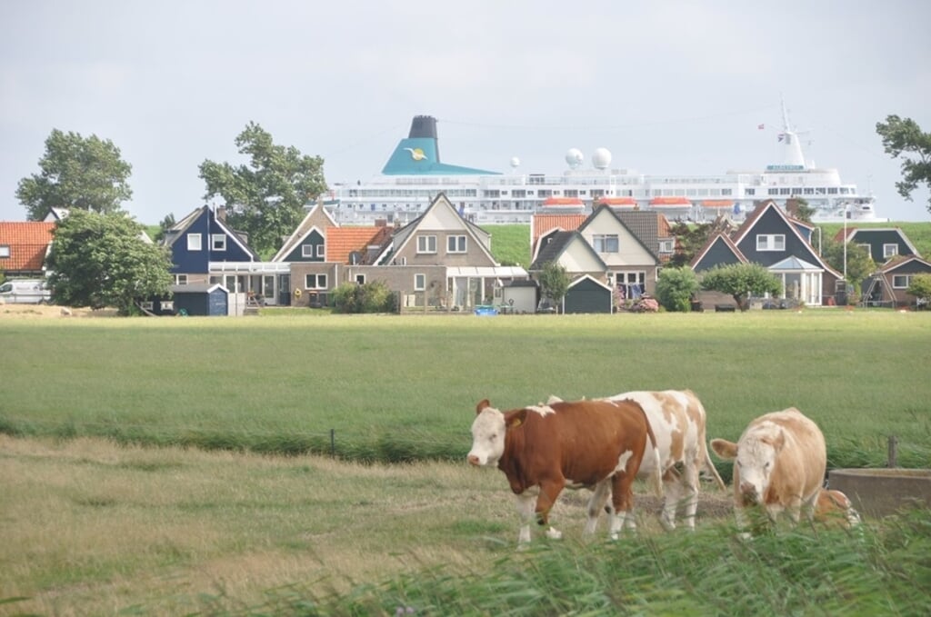 Balans: economie versus rust en ruimte op Texel.
