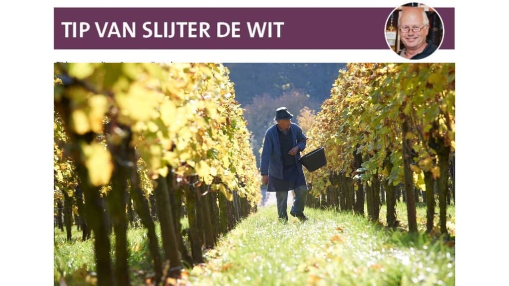 Slijter Jan de Wit neemt ons mee naar wijngaarden in Duitsland. 