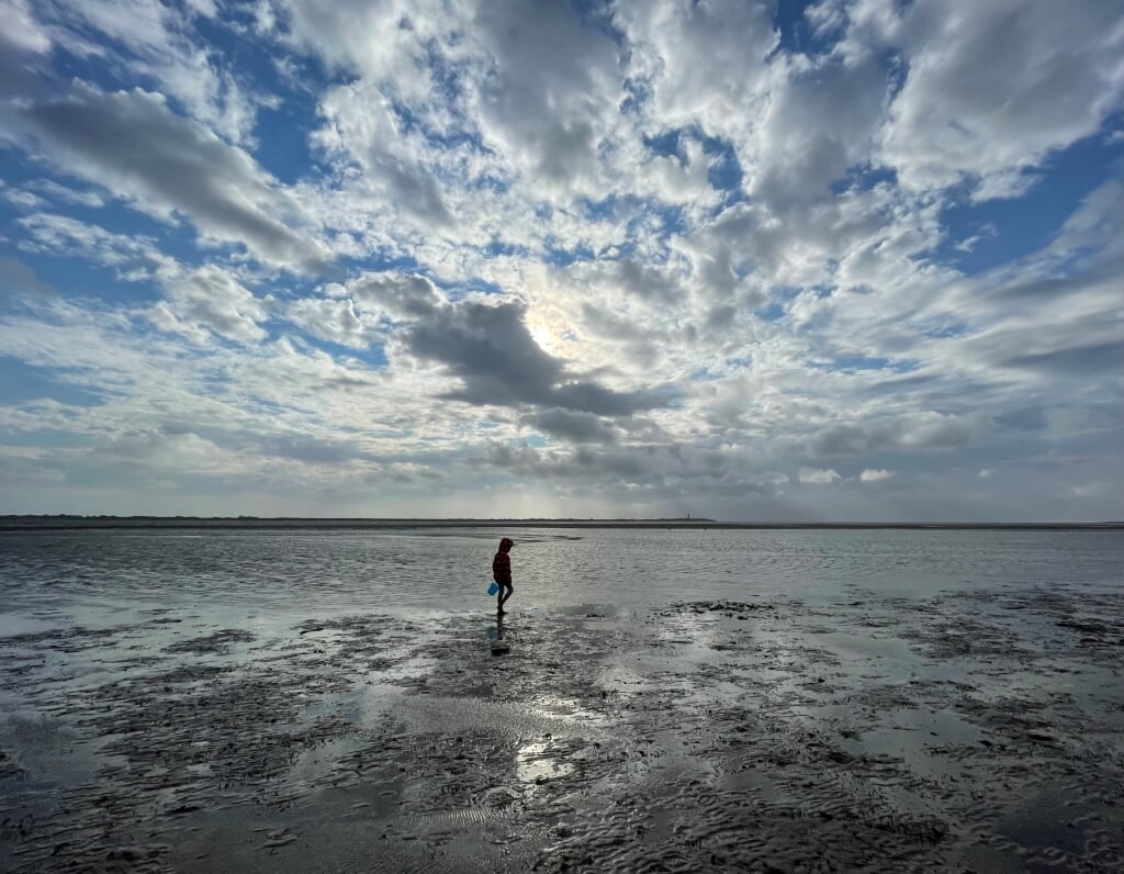 De Waddenzee die sinds 2009 een werelderfgoedstatus heeft.