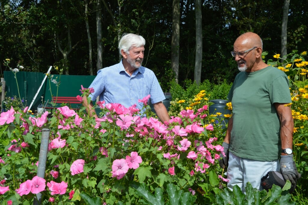 Dirk Terpstra en Peter Riteco stonden bijna 45 jaar geleden aan de basis van de oprichting van Volkstuindersvereniging Den Burg. Ze tuinieren nog steeds. 