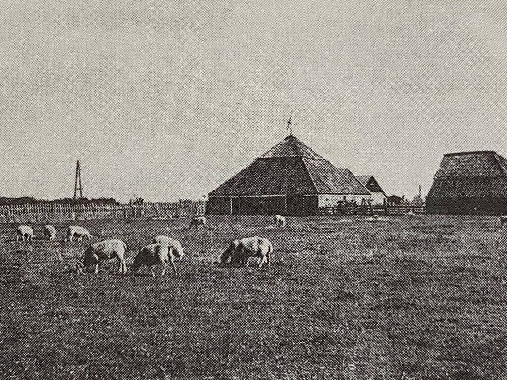 Boerderij Buitenheim bij Den Burg had een windmolen op dak. 
