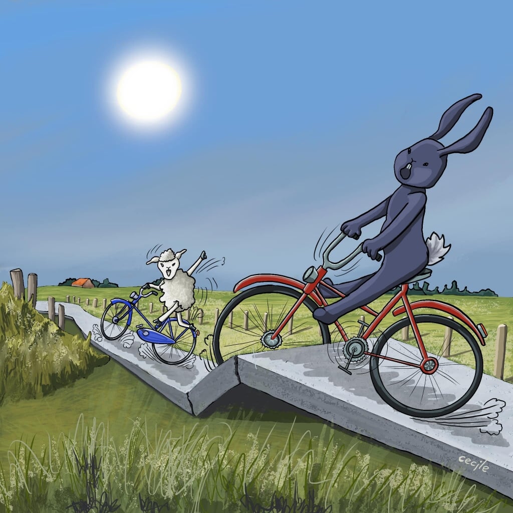 "Het lijkt wel de mountainbike route!", schrijft Cecile de Boer bij haar cartoon.