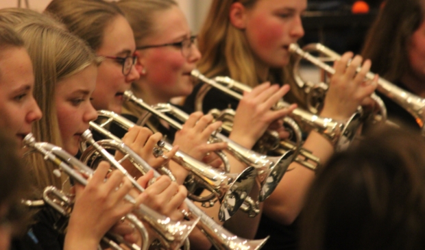 De Wâldsang verzorgt in heel Noordoost-Friesland muzieklessen.