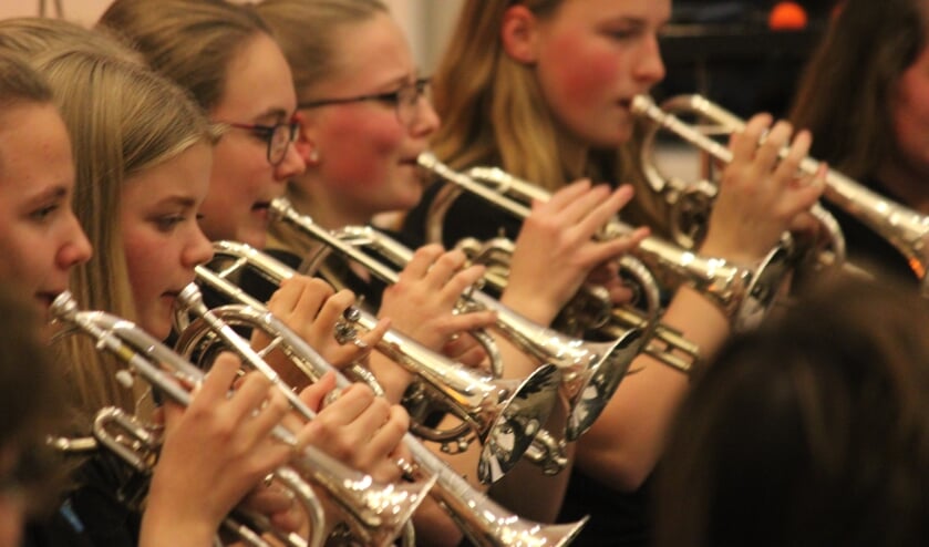 De Wâldsang verzorgt in heel Noordoost-Friesland muzieklessen.