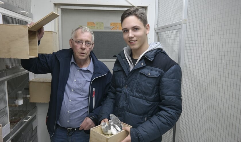 Simon Terpstra uit Marrum en zijn kleinzoon Hielke Deelstra uit Gytsjerk vertellen in het filmpje achter de foto wat er nodig is om de vogels klaar te maken voor de show.