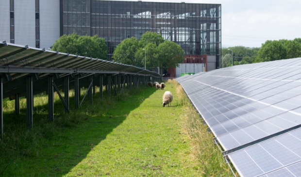 <p>De huidige centrale in Burgum draait op aardgas en zonne-energie.</p>