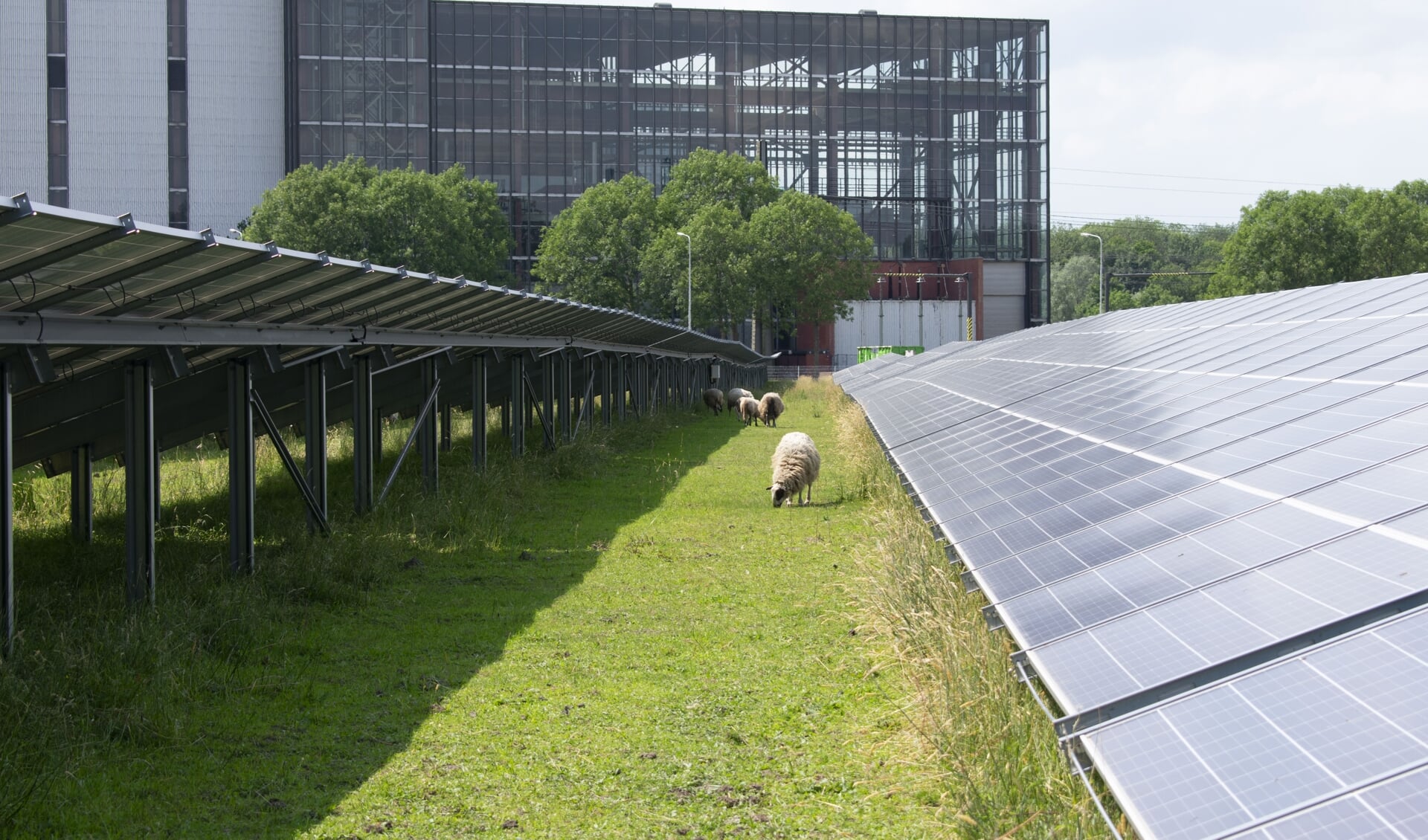 De huidige centrale in Burgum draait op aardgas en zonne-energie.