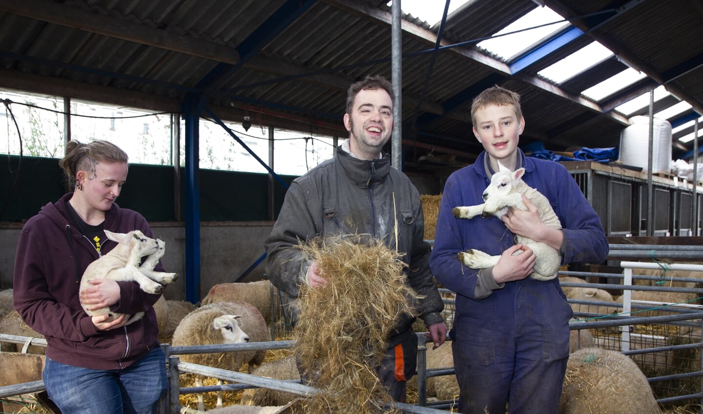Hiske, Michael en Martijn genieten van de lammetjes die zijn geboren op de zorgboerderij.