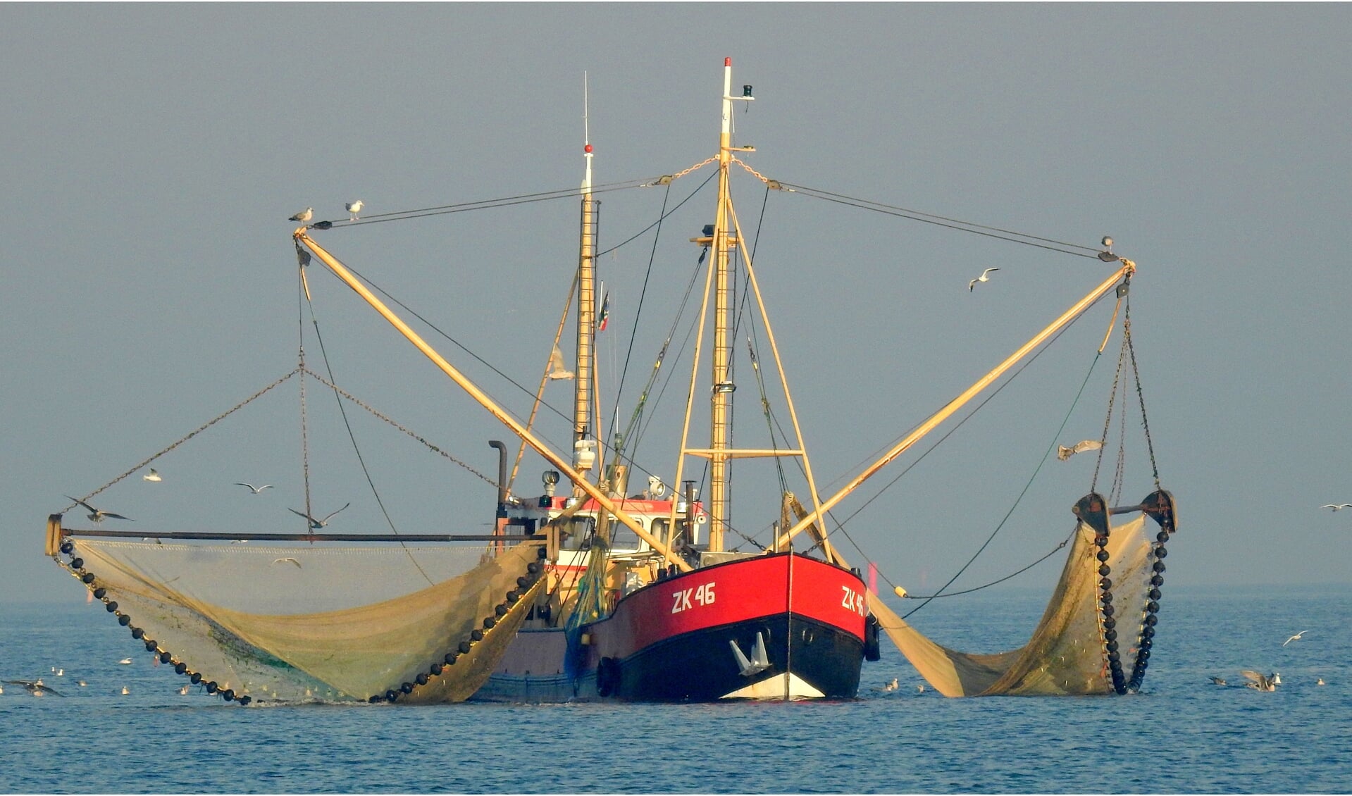 Het garnalenvissen, onder andere met de ZK46 uit Zoutkamp, wordt verder beperkt.