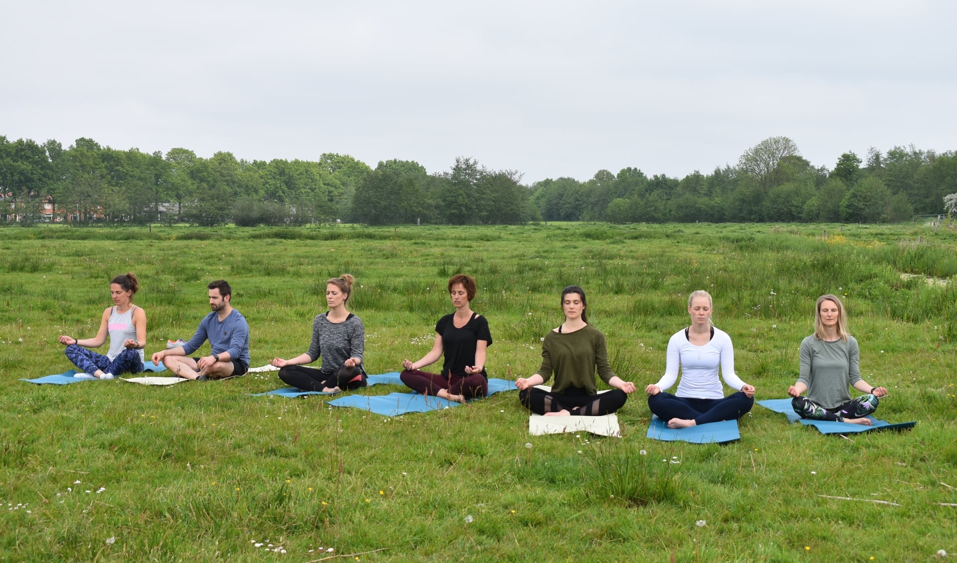 Yn balâns yoga onder leiding van Anne van der Vaart (derde van rechts): komende zaterdag bij de Buitenplaats in Earnewâld (10 - 11 en 17 - 18 uur).