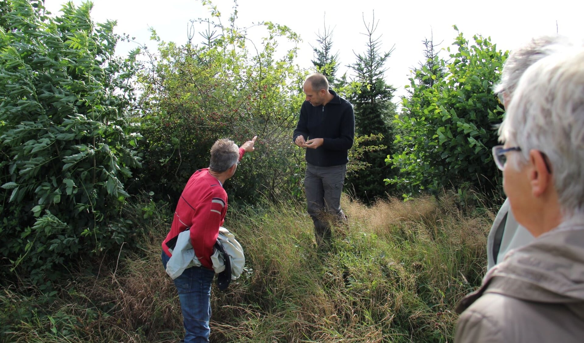 De Noardlike Fryske Wâlden (NFW) leveren met onderhoud van het landschap een bijdrage aan rijke biodiversiteit.  

