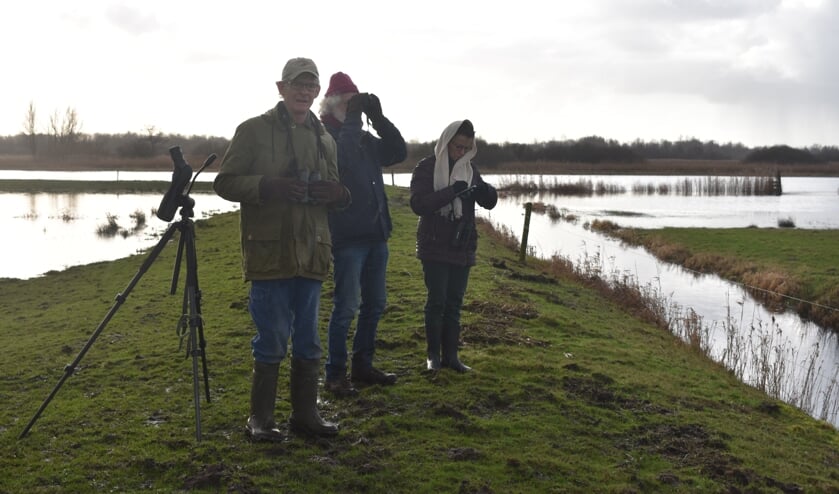 Drie tellers midden in de polder. V.l.n.r.: Fokko Winterwerp, Freek Nijland en Teike van Minnen.