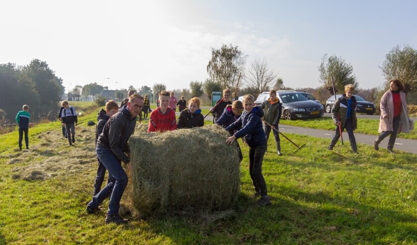 <p>Geen bont wildmengsel, maar bloemzaad uit hooibalen rechtstreeks uit de Alde Feanen.</p>