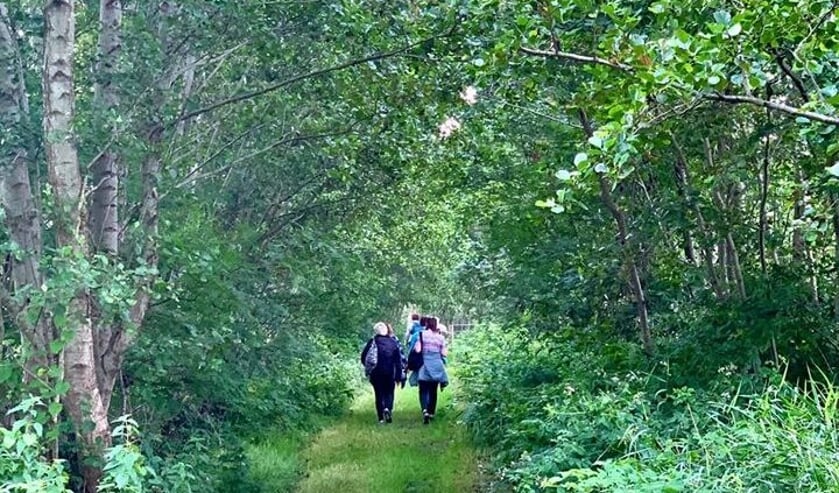 <p>De herfstwandeling voor mantelzorgers is op 28 oktober.</p>