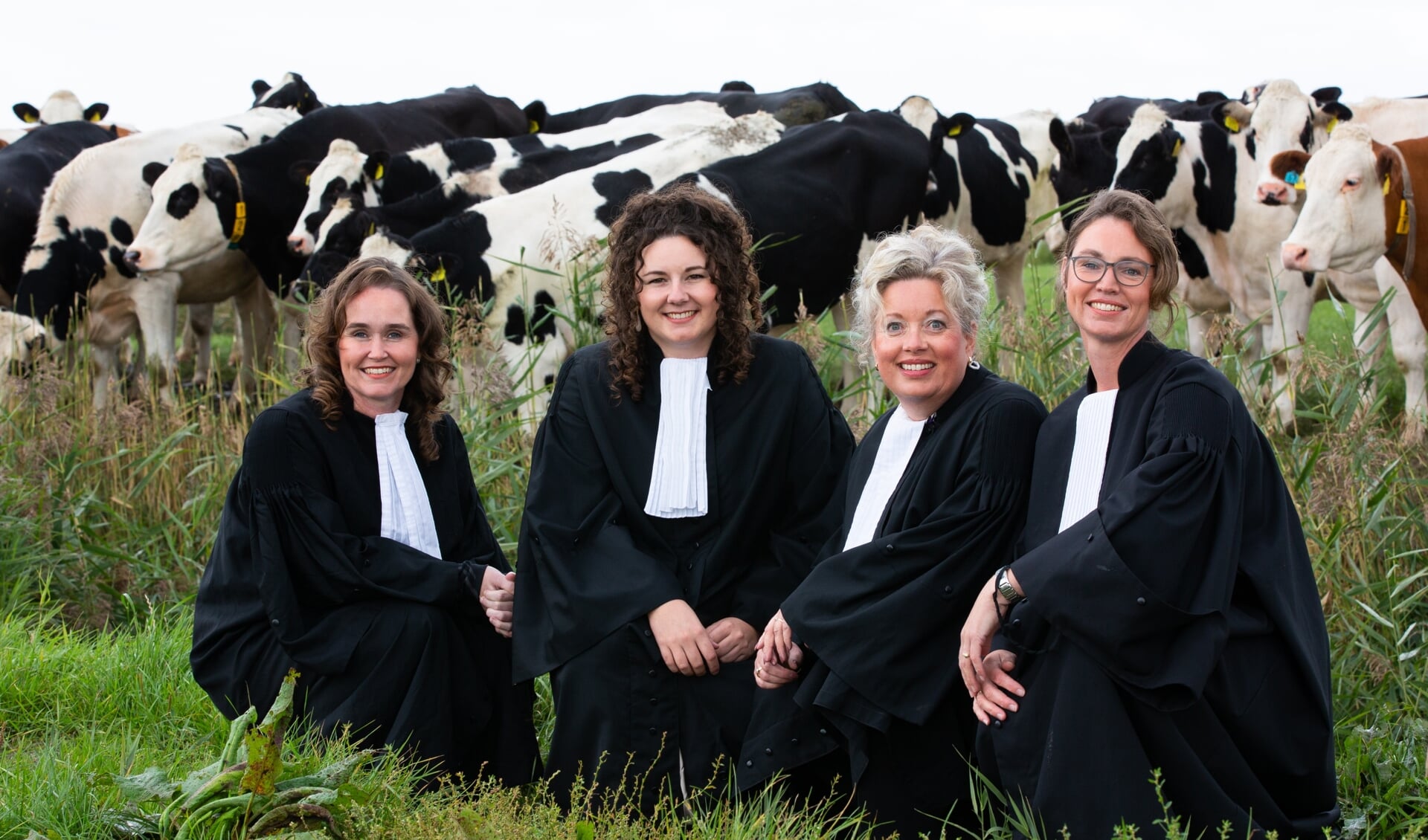 De vier vrouwelijke advocaten van Kooi Advocaten, van links naar rechts: Chantal Bosch,  Lisa Alstein, Baukje Kooi en Baukje Hiemstra.