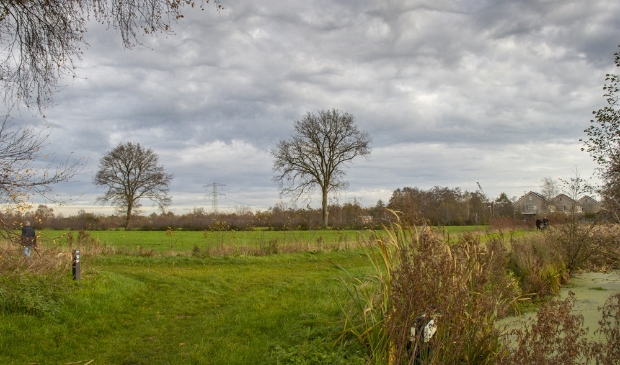 <p>De weilanden tussen de Sintrale As en Wettermunt (achtergrond) in Burgum.<br>Actiecomité Wettermunt natuurlijk vindt dat dit gebied niet bebouwd moet worden.</p>