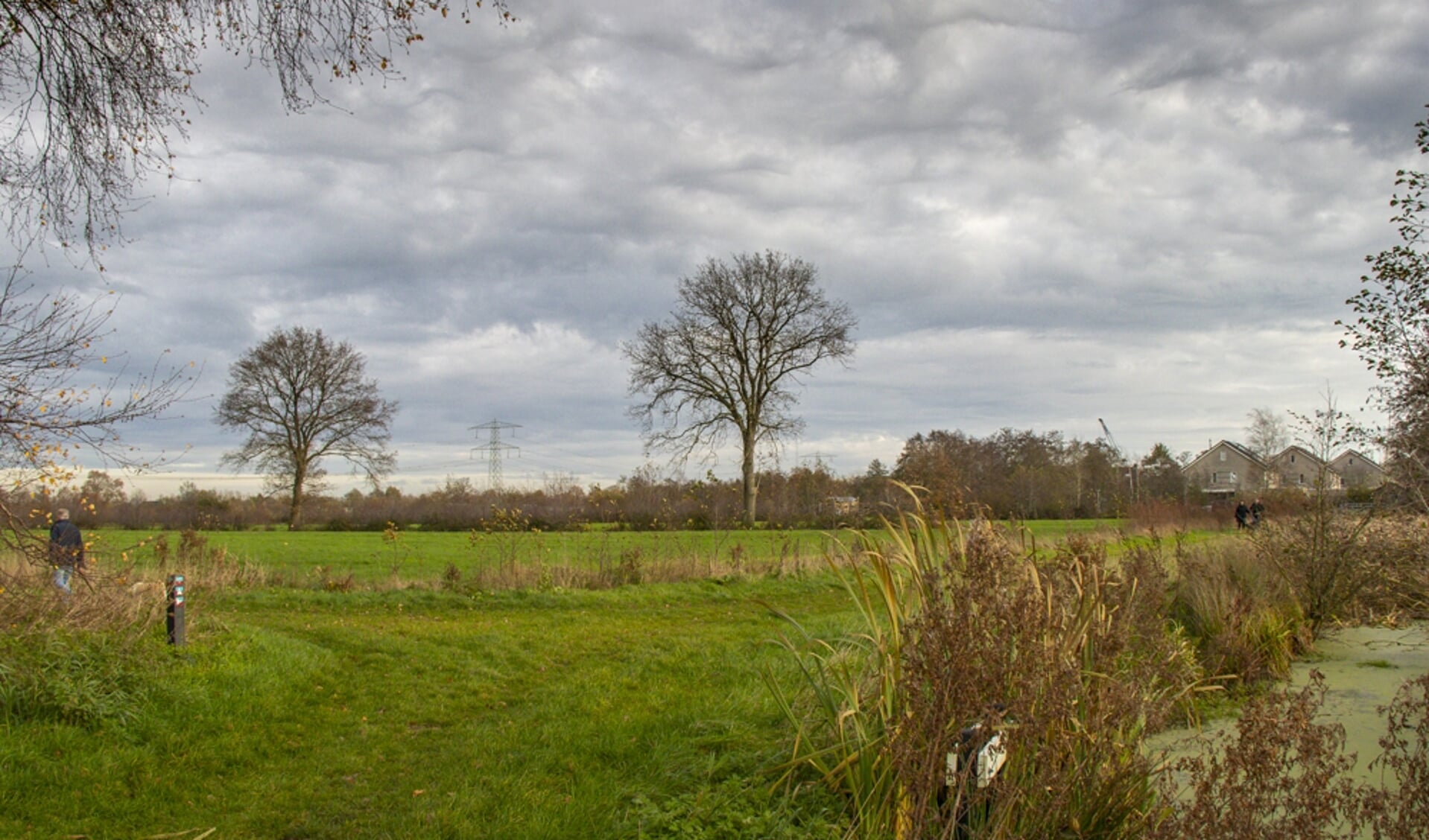 De weilanden tussen de Sintrale As en Wettermunt (achtergrond) in Burgum.Actiecomité Wettermunt natuurlijk vindt dat dit gebied niet bebouwd moet worden.