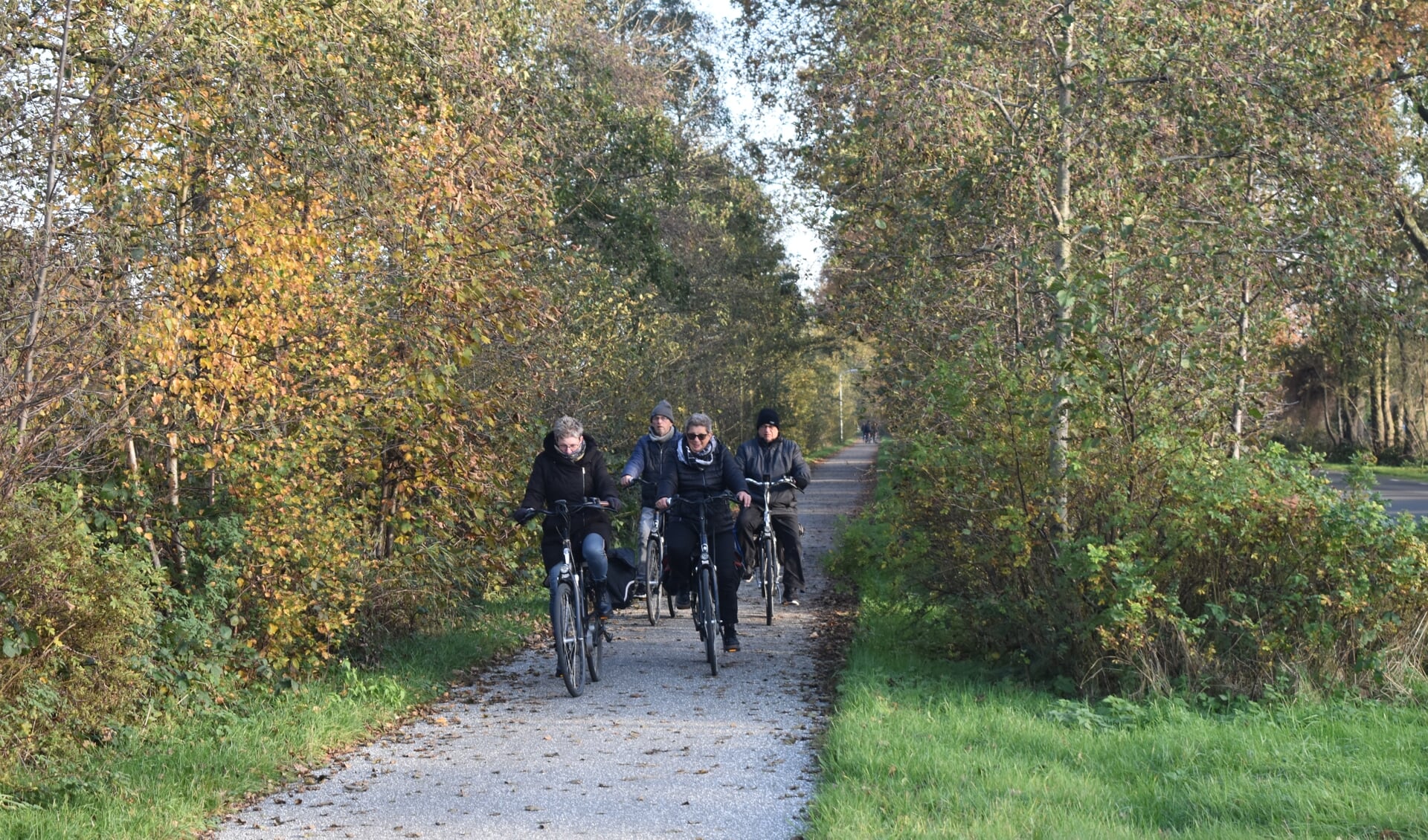 Vier fietsers naderen op het fietspad Ikewei vanuit Twijzel knooppunt 74 (Agehoeke), de kruising met Wyldpaed West en Oast. Zie ook het filmpje met de ActiefPlus-app.