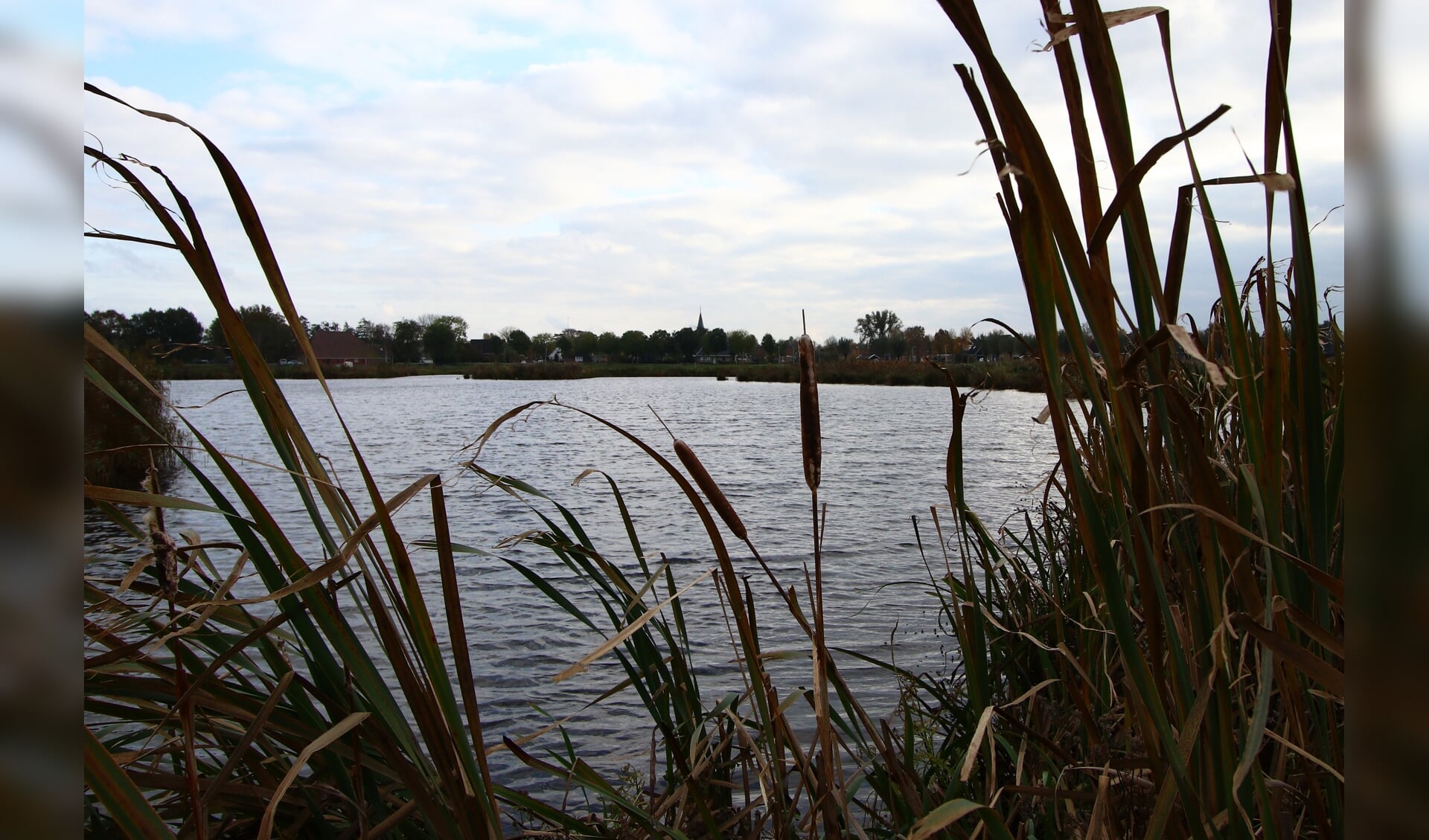 Het natuurgebied Wikelslân met uitzicht op Earnewâld is onderdeel van de Alde Feanen. Het water in dit natuurgebied moet nog schoner worden.