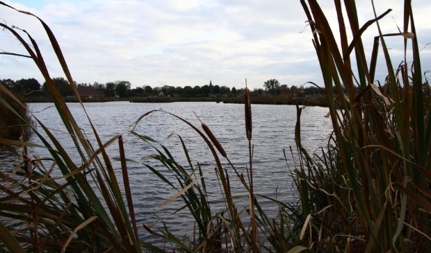 <p>Het natuurgebied Wikelslân met uitzicht op Earnewâld maakt deel<br>uit van Nationaal Park De Alde Feanen.</p>