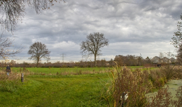 <p>De weilanden tussen de Sintrale As en Wettermunt (achtergrond) in Burgum, waar mogelijk 58 woningen worden gebouwd.</p> 