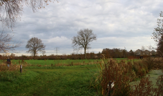 De weilanden tussen Wettermunt (rechtsachter) en de Sintrale As.