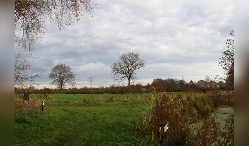 De weilanden tussen Wettermunt (rechtsachter) en de Sintrale As.