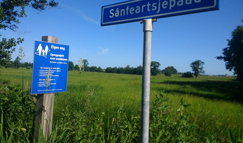 Het wandelpad bij Walterswâld waar de eikenprocessierups is aangetroffen.