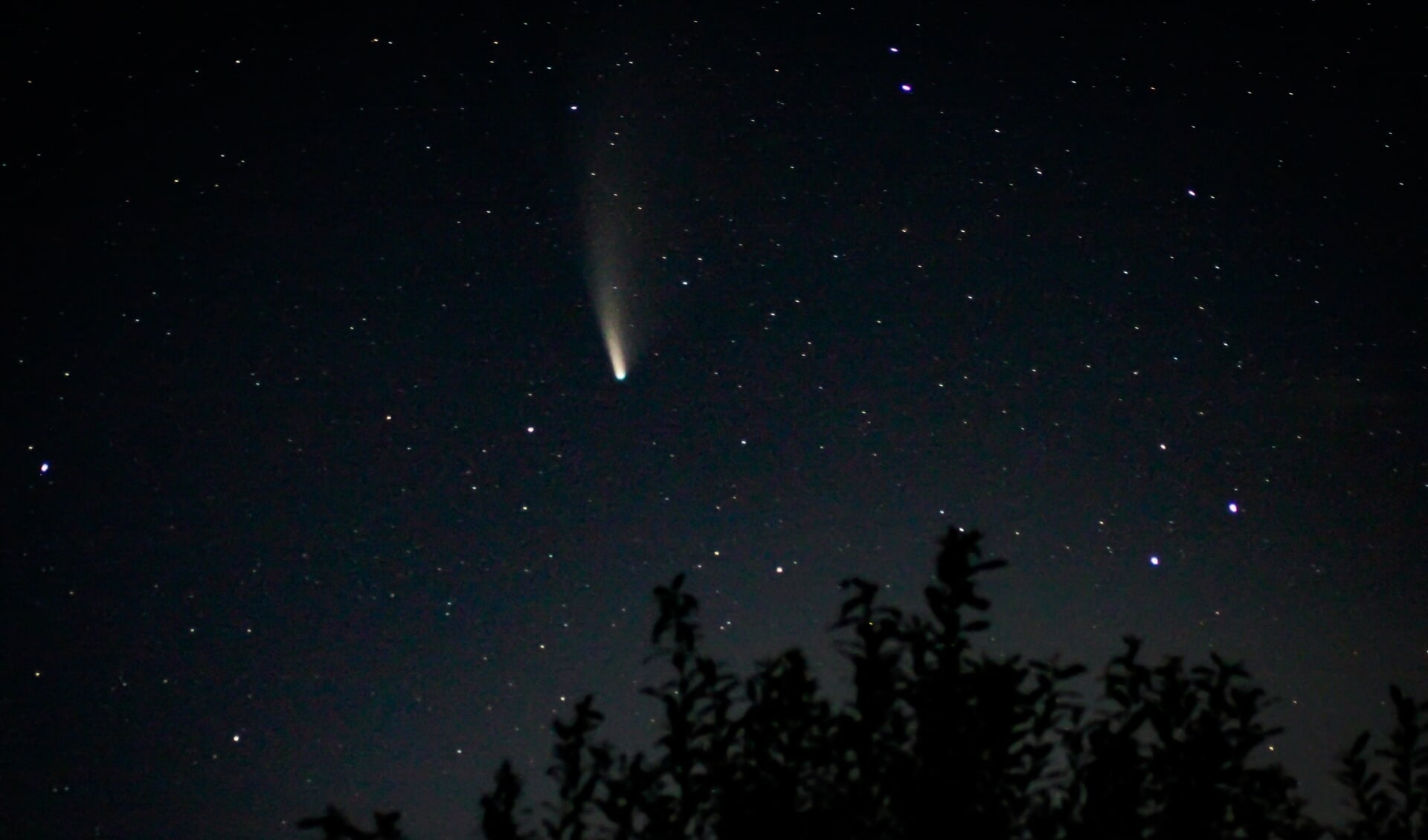 De komeet is te zien tussen de sterren.