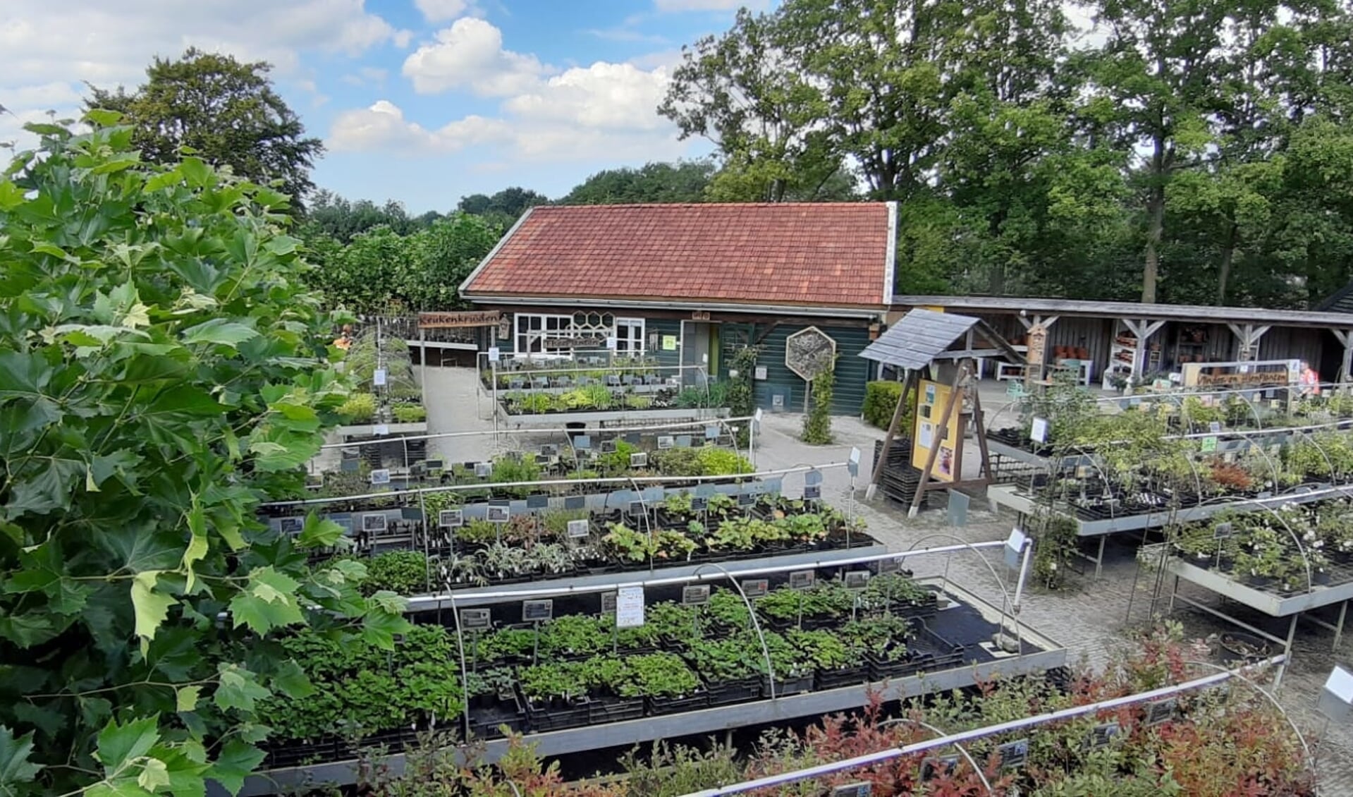 De Kruidhof heeft een kortingsactie op alle planten, kruiden, struiken en fruitbomen. 