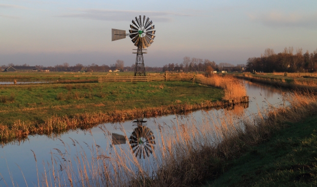 <p>Een Amerikaanse windmolen in De Alde Feanen. Ontwatering is al eeuwenlang een thema.</p>